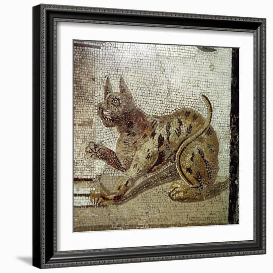 Detail from Roman mosaic showing a cat, Pompeii, Italy. Artist: Unknown-Unknown-Framed Giclee Print