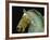 Detail from the Equestrian Statue of Marcus Aurelius-null-Framed Giclee Print