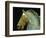 Detail from the Equestrian Statue of Marcus Aurelius-null-Framed Giclee Print