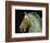 Detail from the Equestrian Statue of Marcus Aurelius-null-Framed Giclee Print