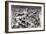 Detail from the Great Frieze of the Pergamon Altar, 180-159 BC-null-Framed Photographic Print