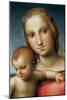 Detail from Virgin and Child-Raphael-Mounted Giclee Print