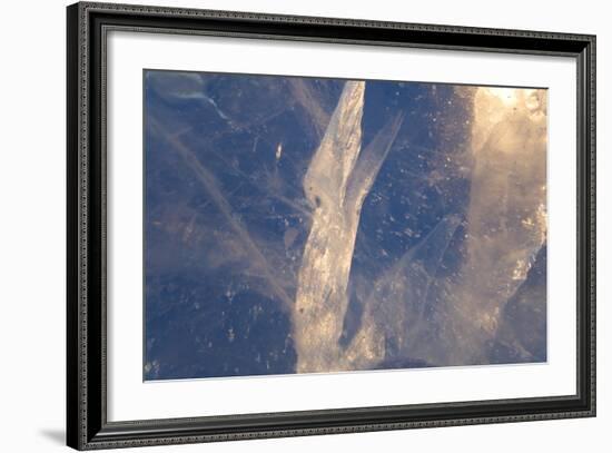 Detail in Block of Ice, Northern Sweden-Peter Adams-Framed Photographic Print