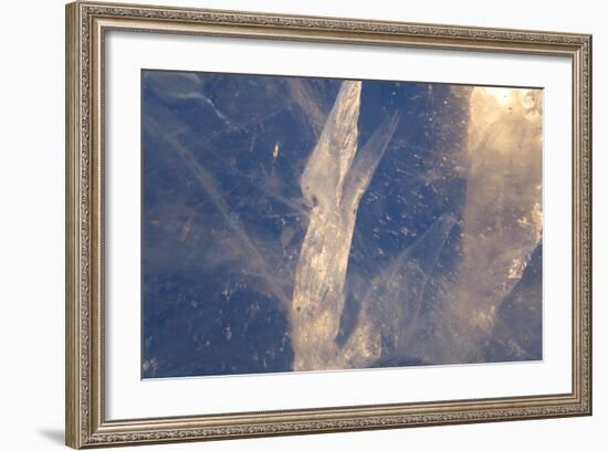 Detail in Block of Ice, Northern Sweden-Peter Adams-Framed Photographic Print
