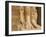 Detail, Medinet Habou Temple, West Bank of the River Nile, Thebes, UNESCO World Heritage Site, Egyp-Tuul-Framed Photographic Print