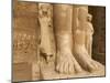 Detail, Medinet Habou Temple, West Bank of the River Nile, Thebes, UNESCO World Heritage Site, Egyp-Tuul-Mounted Photographic Print