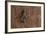 Detail of a Carved Wooden Door in the Musee De Marrakech, Marrakech, Morocco, North Africa, Africa-Martin Child-Framed Photographic Print
