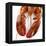 Detail of a Cooked Lobster-Alexander Feig-Framed Premier Image Canvas