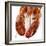 Detail of a Cooked Lobster-Alexander Feig-Framed Photographic Print