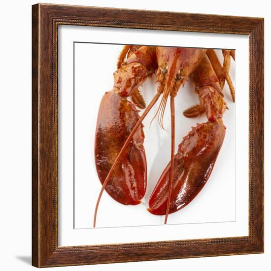 Detail of a Cooked Lobster-Alexander Feig-Framed Photographic Print