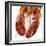 Detail of a Cooked Lobster-Alexander Feig-Framed Photographic Print