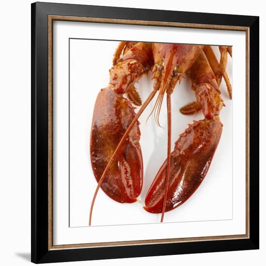 Detail of a Cooked Lobster-Alexander Feig-Framed Photographic Print