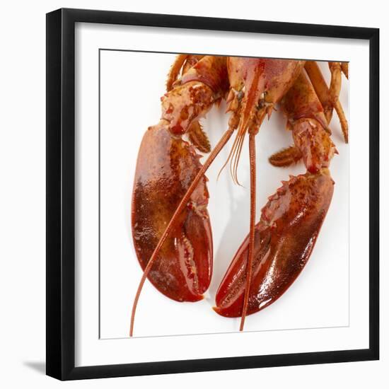 Detail of a Cooked Lobster-Alexander Feig-Framed Photographic Print