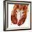 Detail of a Cooked Lobster-Alexander Feig-Framed Photographic Print