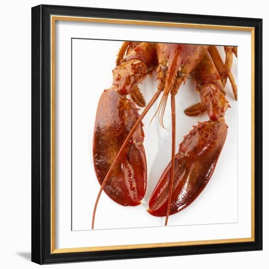 Detail of a Cooked Lobster-Alexander Feig-Framed Photographic Print