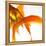 Detail of a Goldfish Tail-Mark Mawson-Framed Premier Image Canvas
