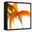 Detail of a Goldfish Tail-Mark Mawson-Framed Premier Image Canvas