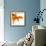 Detail of a Goldfish Tail-Mark Mawson-Framed Photographic Print displayed on a wall