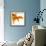 Detail of a Goldfish Tail-Mark Mawson-Framed Photographic Print displayed on a wall