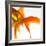 Detail of a Goldfish Tail-Mark Mawson-Framed Photographic Print