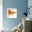 Detail of a Goldfish Tail-Mark Mawson-Framed Photographic Print displayed on a wall