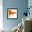 Detail of a Goldfish Tail-Mark Mawson-Framed Photographic Print displayed on a wall