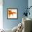 Detail of a Goldfish Tail-Mark Mawson-Framed Photographic Print displayed on a wall