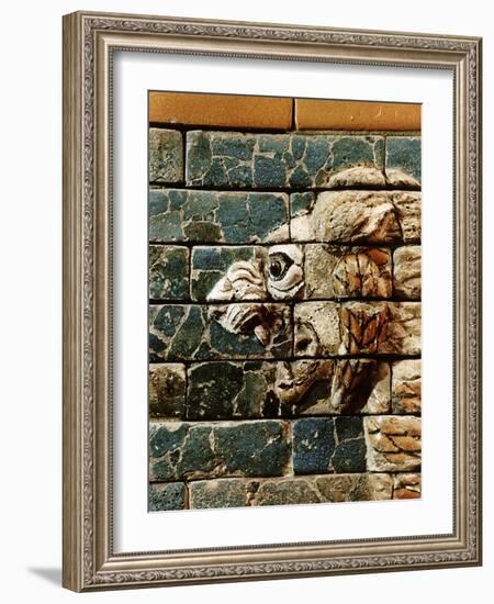 Detail of a lion, reconstruction of the Ishtar Gate, Babylon, Pergamon Museum, Berlin, Germany-Werner Forman-Framed Photographic Print