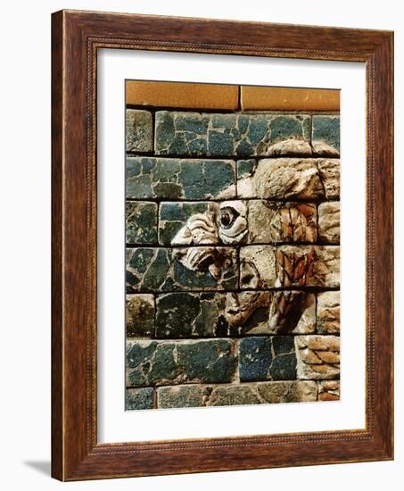 Detail of a lion, reconstruction of the Ishtar Gate, Babylon, Pergamon Museum, Berlin, Germany-Werner Forman-Framed Photographic Print