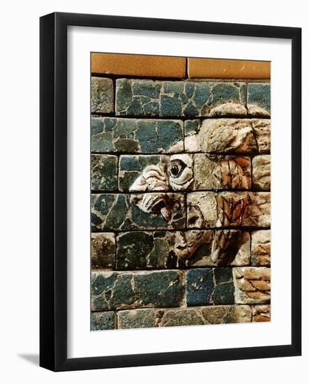 Detail of a lion, reconstruction of the Ishtar Gate, Babylon, Pergamon Museum, Berlin, Germany-Werner Forman-Framed Photographic Print