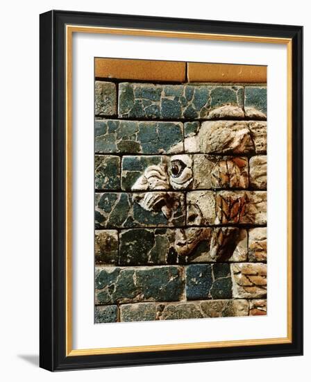 Detail of a lion, reconstruction of the Ishtar Gate, Babylon, Pergamon Museum, Berlin, Germany-Werner Forman-Framed Photographic Print