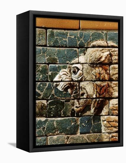 Detail of a lion, reconstruction of the Ishtar Gate, Babylon, Pergamon Museum, Berlin, Germany-Werner Forman-Framed Premier Image Canvas