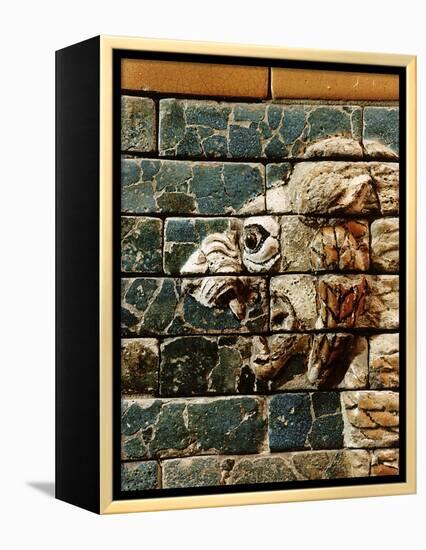 Detail of a lion, reconstruction of the Ishtar Gate, Babylon, Pergamon Museum, Berlin, Germany-Werner Forman-Framed Premier Image Canvas