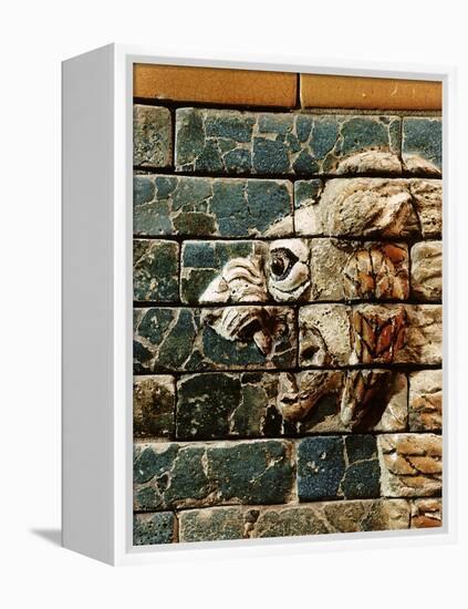 Detail of a lion, reconstruction of the Ishtar Gate, Babylon, Pergamon Museum, Berlin, Germany-Werner Forman-Framed Premier Image Canvas