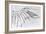 Detail of a Mechanical Wing, 1488-89-Leonardo da Vinci-Framed Giclee Print