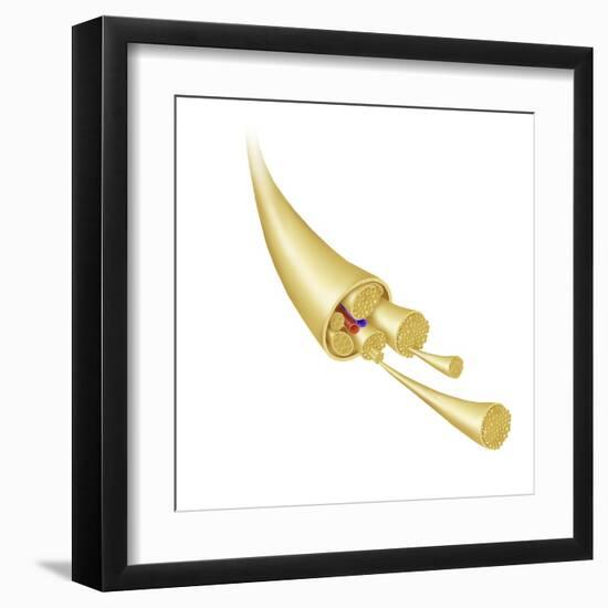 Art Print, , large