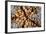 Detail of a Pin Cushion Starfish on a Reef in Indonesia-Stocktrek Images-Framed Photographic Print