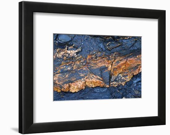 Detail of a rock-Angela Marsh-Framed Photographic Print