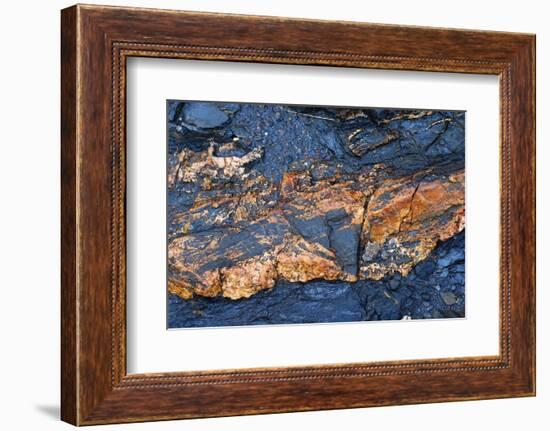 Detail of a rock-Angela Marsh-Framed Photographic Print