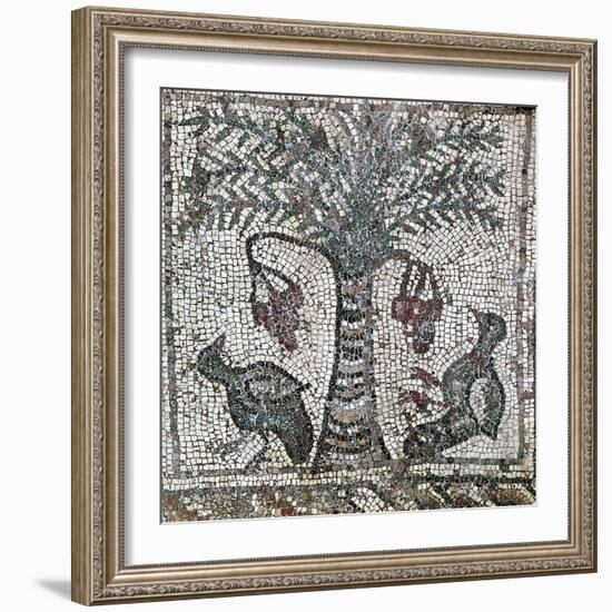 Detail of a Roman mosaic depicting two birds and a date palm, Lebanon, 2nd century-Werner Forman-Framed Photographic Print