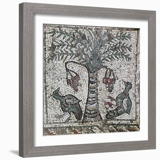 Detail of a Roman mosaic depicting two birds and a date palm, Lebanon, 2nd century-Werner Forman-Framed Photographic Print