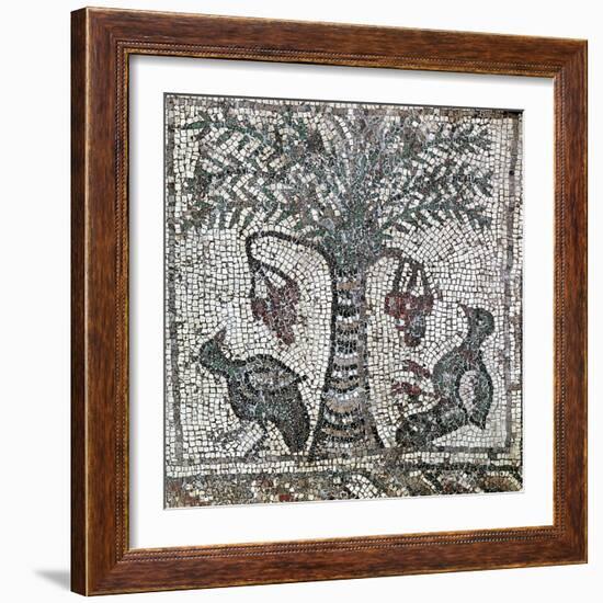 Detail of a Roman mosaic depicting two birds and a date palm, Lebanon, 2nd century-Werner Forman-Framed Photographic Print