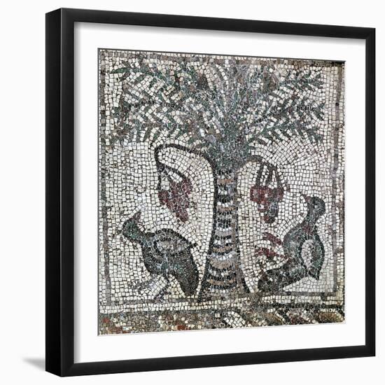 Detail of a Roman mosaic depicting two birds and a date palm, Lebanon, 2nd century-Werner Forman-Framed Photographic Print