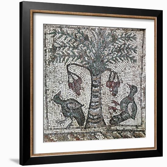 Detail of a Roman mosaic depicting two birds and a date palm, Lebanon, 2nd century-Werner Forman-Framed Photographic Print