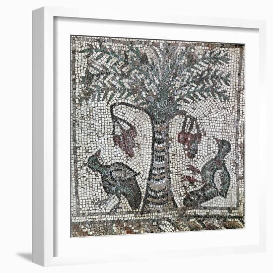 Detail of a Roman mosaic depicting two birds and a date palm, Lebanon, 2nd century-Werner Forman-Framed Photographic Print