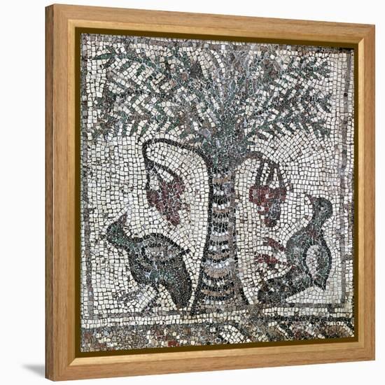 Detail of a Roman mosaic depicting two birds and a date palm, Lebanon, 2nd century-Werner Forman-Framed Stretched Canvas