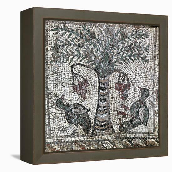 Detail of a Roman mosaic depicting two birds and a date palm, Lebanon, 2nd century-Werner Forman-Framed Stretched Canvas