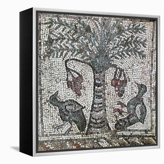 Detail of a Roman mosaic depicting two birds and a date palm, Lebanon, 2nd century-Werner Forman-Framed Stretched Canvas