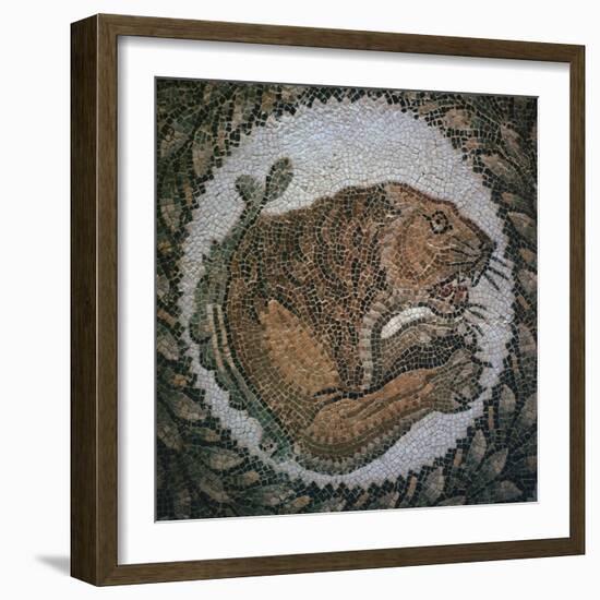 Detail of a Roman mosaic showing the head of a lion, 4th century. Artist: Unknown-Unknown-Framed Giclee Print