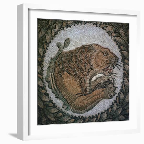 Detail of a Roman mosaic showing the head of a lion, 4th century. Artist: Unknown-Unknown-Framed Giclee Print